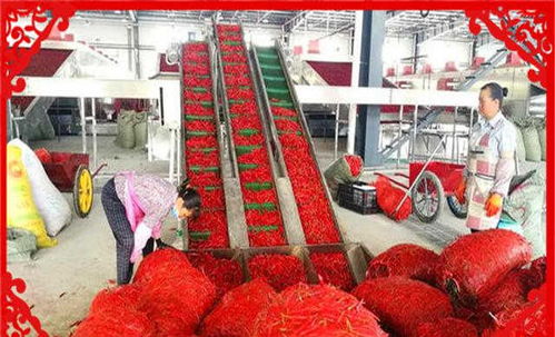 農村創(chuàng)業(yè)新機遇 干好這幾個農副產品加工項目，不愁沒錢賺