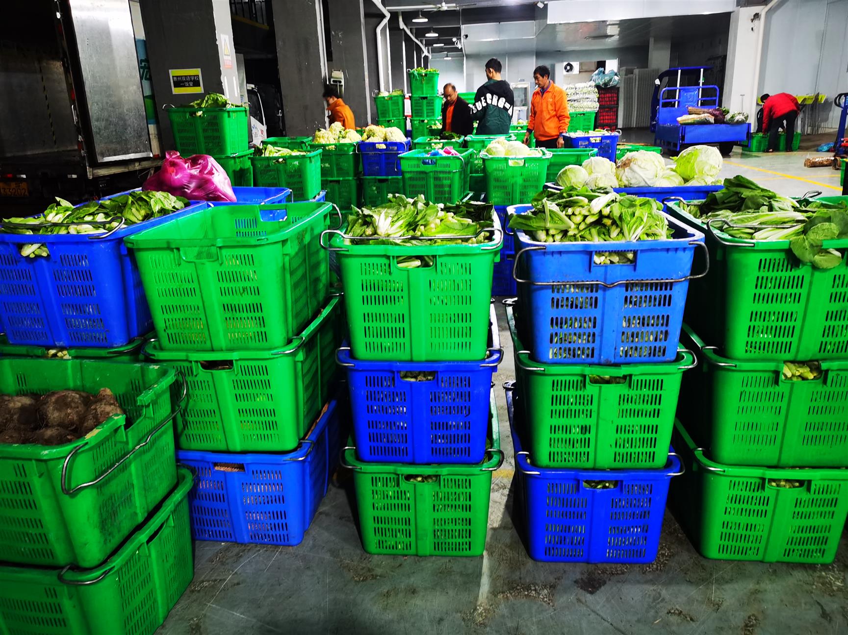 虎門鎮(zhèn)農副產品配送 按需供應，高效便捷的蔬菜批發(fā)服務