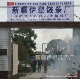 新疆伊犁鏈條廠 立足邊疆，服務農業的鏈條專家