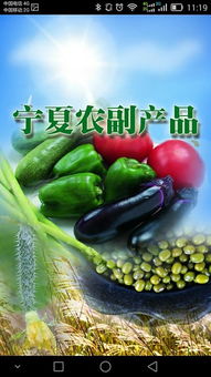 寧夏農副產品“下載”指南 特色、渠道與品牌數字化之路